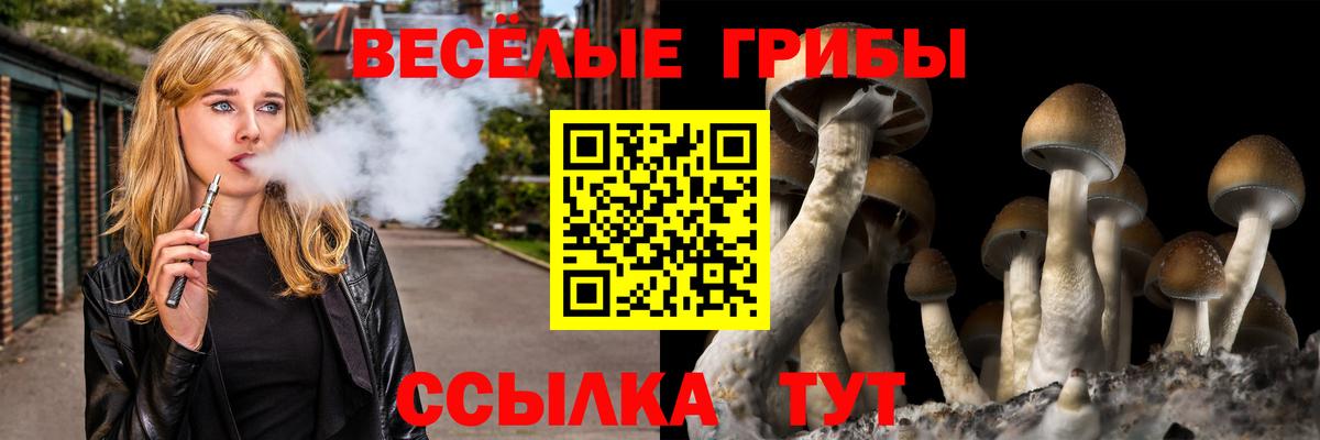 Галлюциногенные грибы Magic Shrooms  Галлюциногенные грибы мухоморы  Нижнеудинск  Вход с VPN 